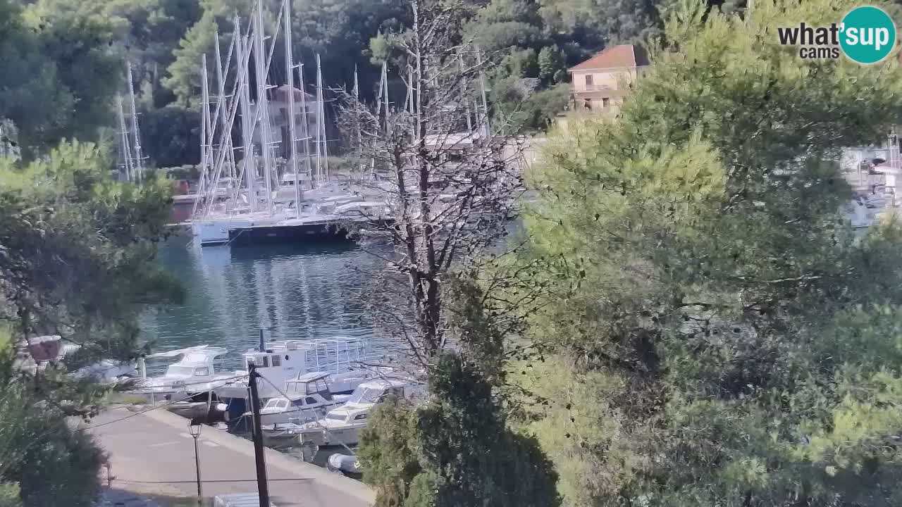 Kamera Hvar Vrboska marina | | Dalmacija
