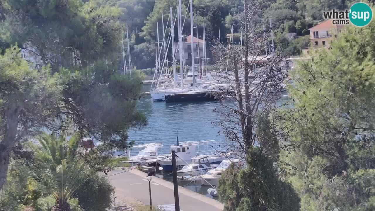 Web kamera Hvar Vrboska marina | otok Hvar | Dalmacija