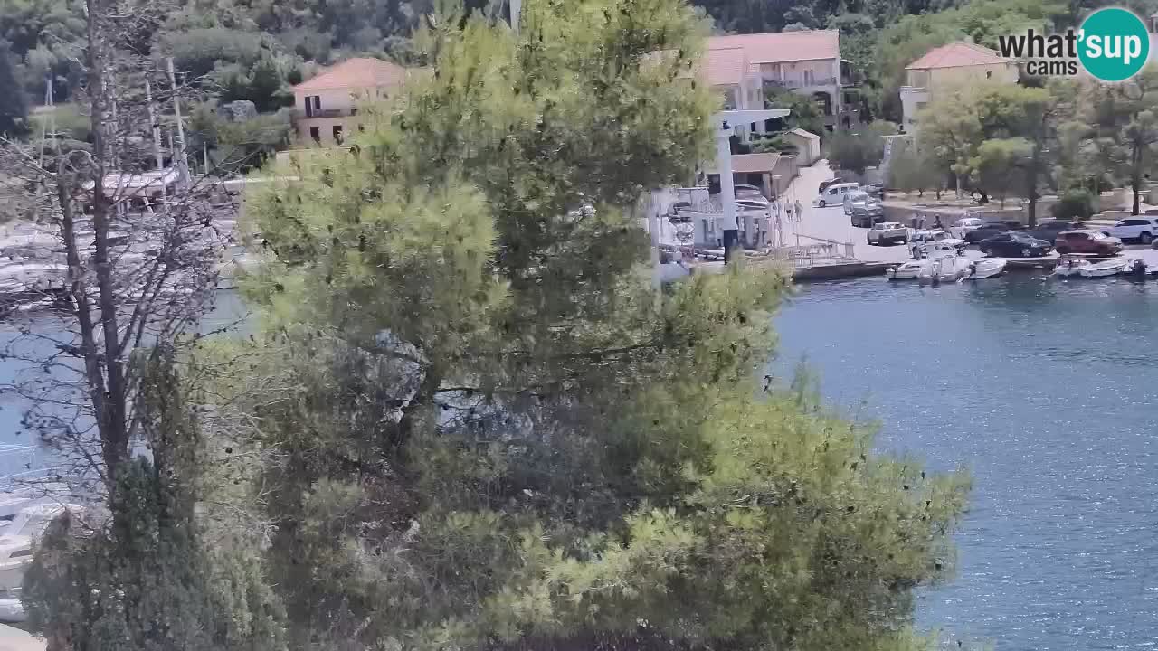 Livecam Vrboska marina | Hvar island | Dalmatia