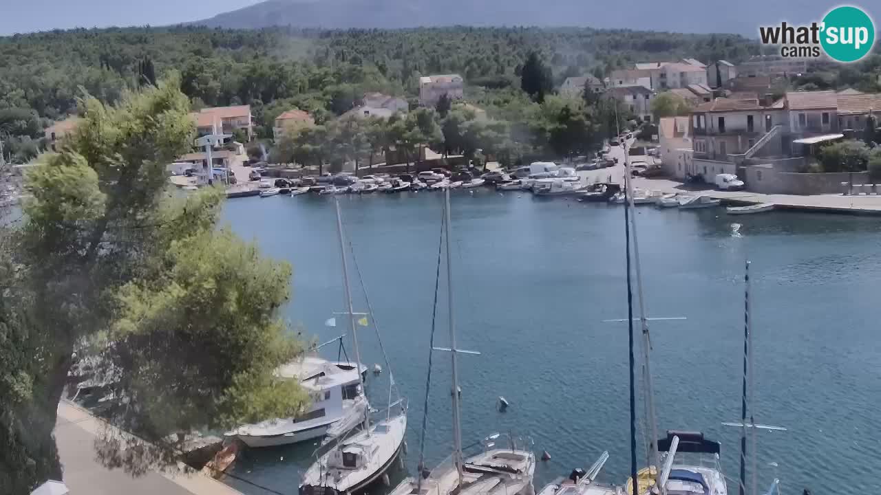 Livecam Hvar Vrboska marina | Île de Hvar | Dalmatia