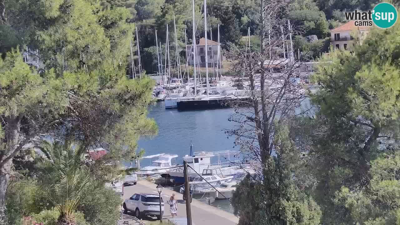 Webcam Hvar Vrboska marina | Dalmazia