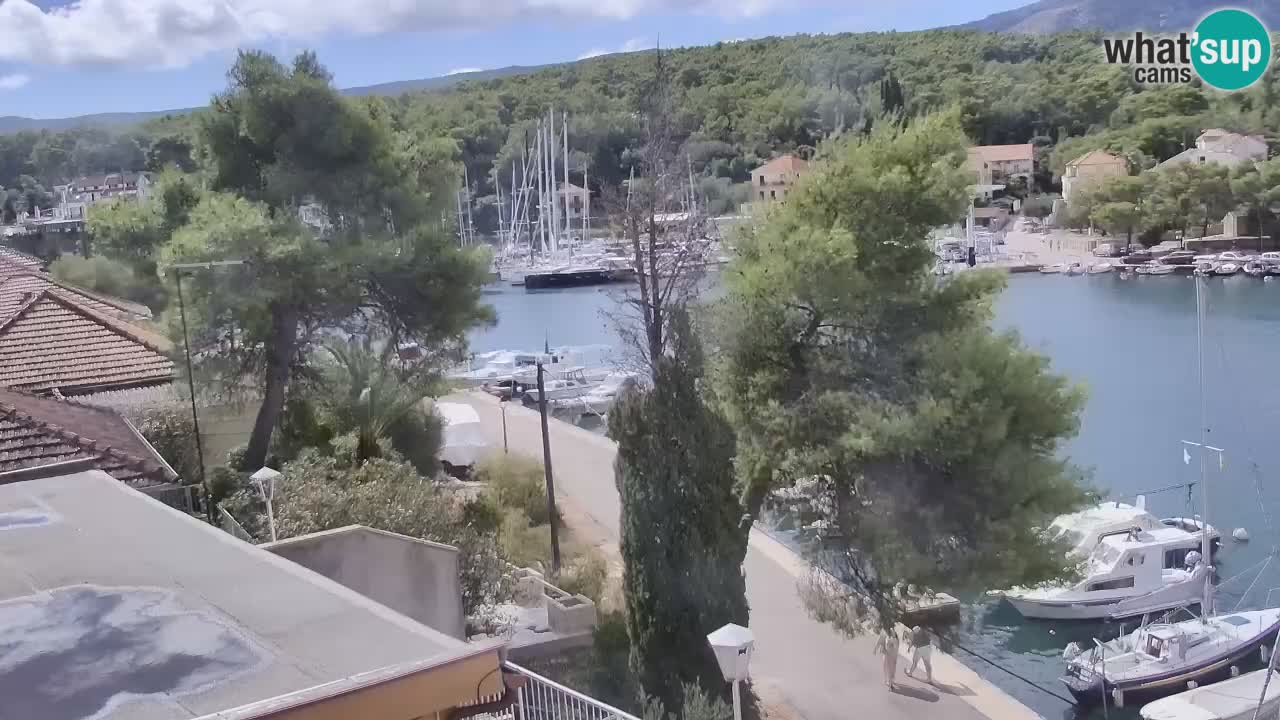 Web kamera Hvar Vrboska marina | otok Hvar | Dalmacija