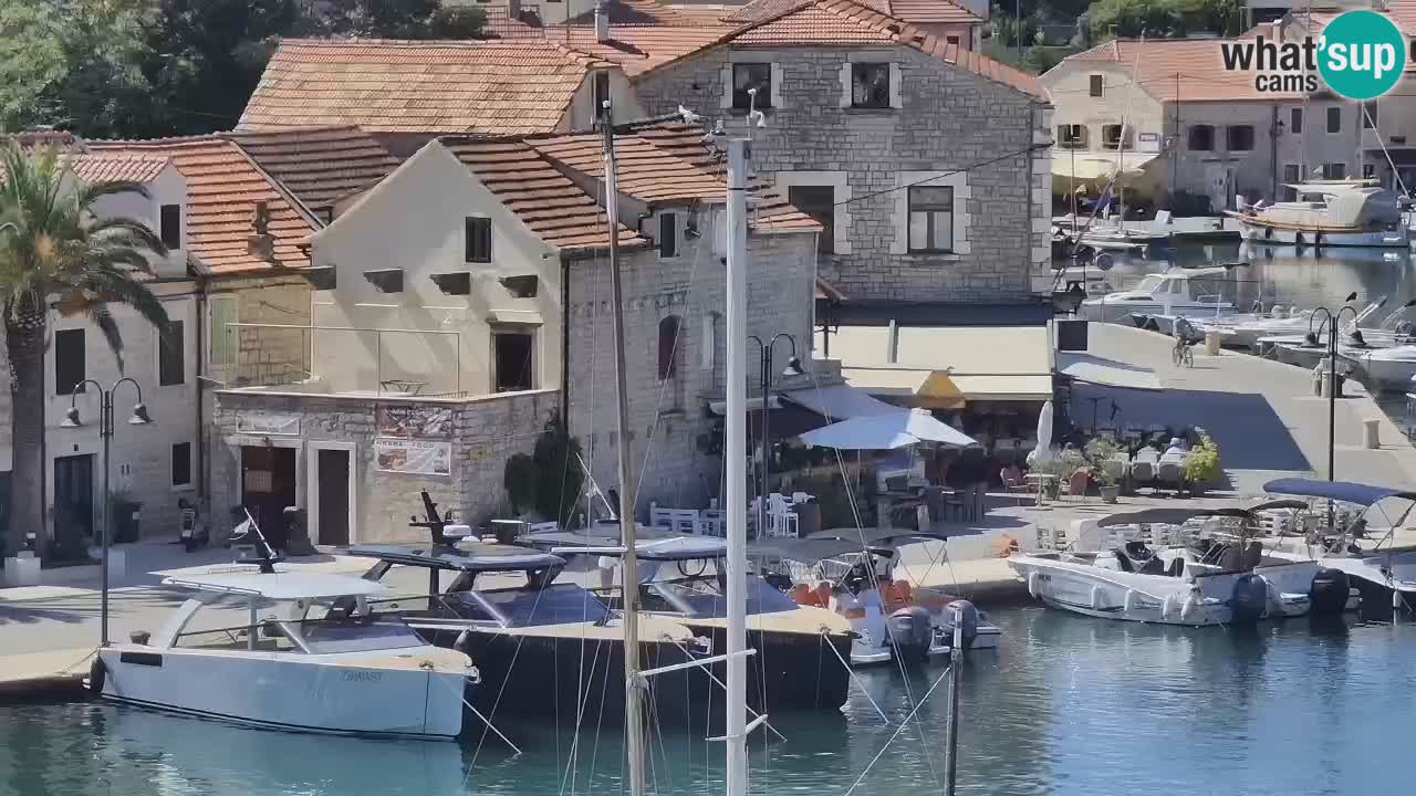 Livecam Hvar Vrboska marina | Île de Hvar | Dalmatia