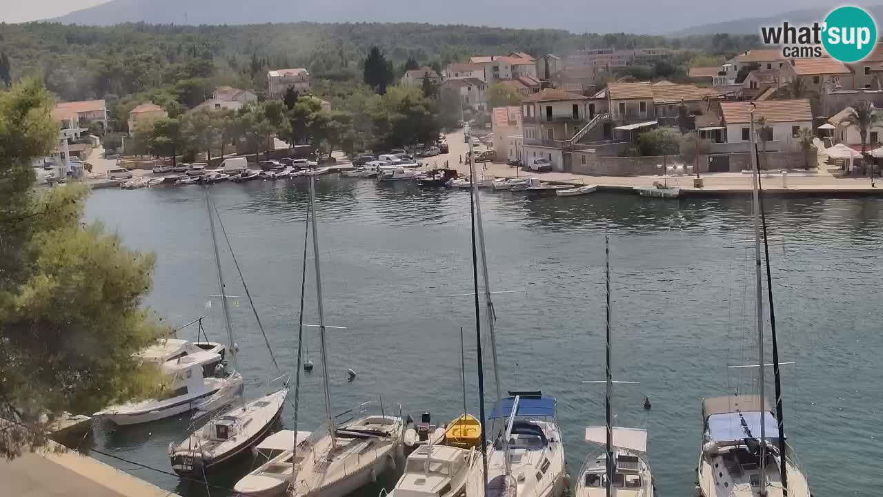 Livecam Hvar Vrboska marina | Île de Hvar | Dalmatia