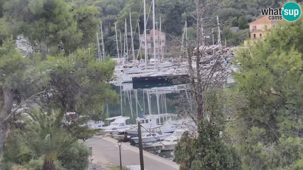 Livecam Vrboska marina | Hvar island | Dalmatia