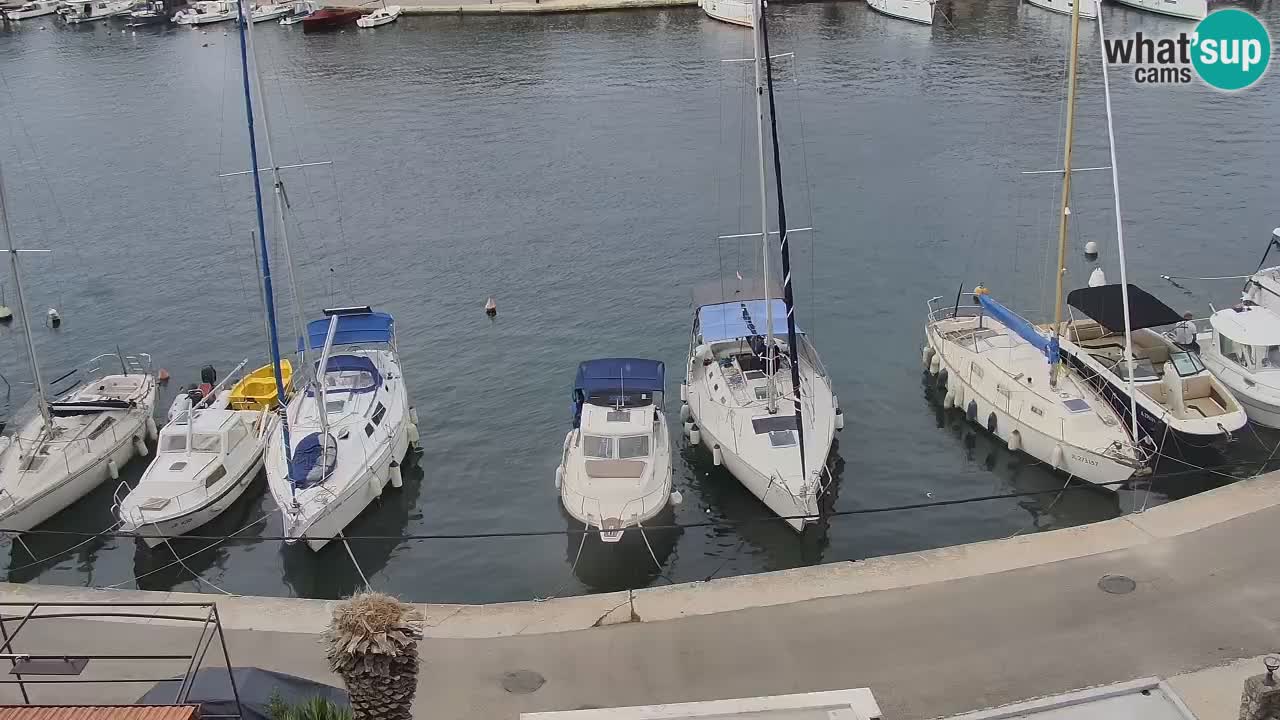 Livecam Hvar Vrboska marina | Île de Hvar | Dalmatia