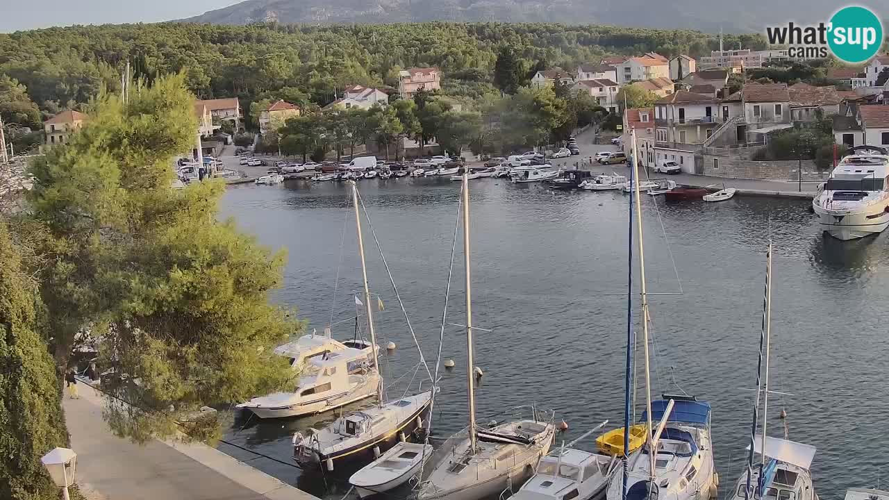 Camera Hvar Vrboska marina | isla de Hvar | Dalmacia