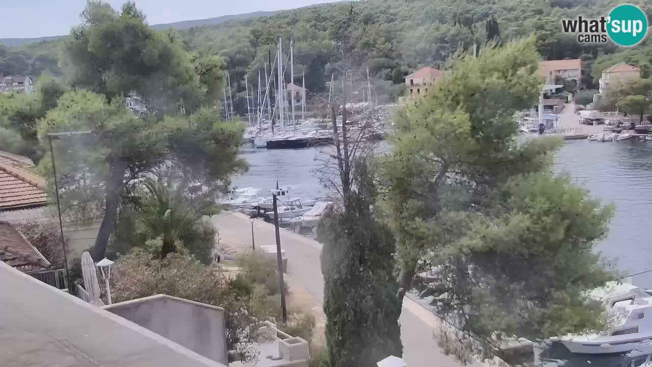 Kamera Hvar Vrboska marina | | Dalmacija
