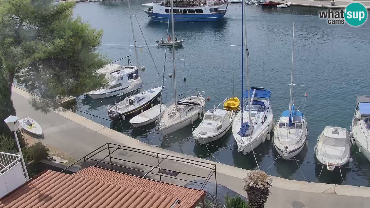 Livecam Hvar Vrboska marina | Île de Hvar | Dalmatia