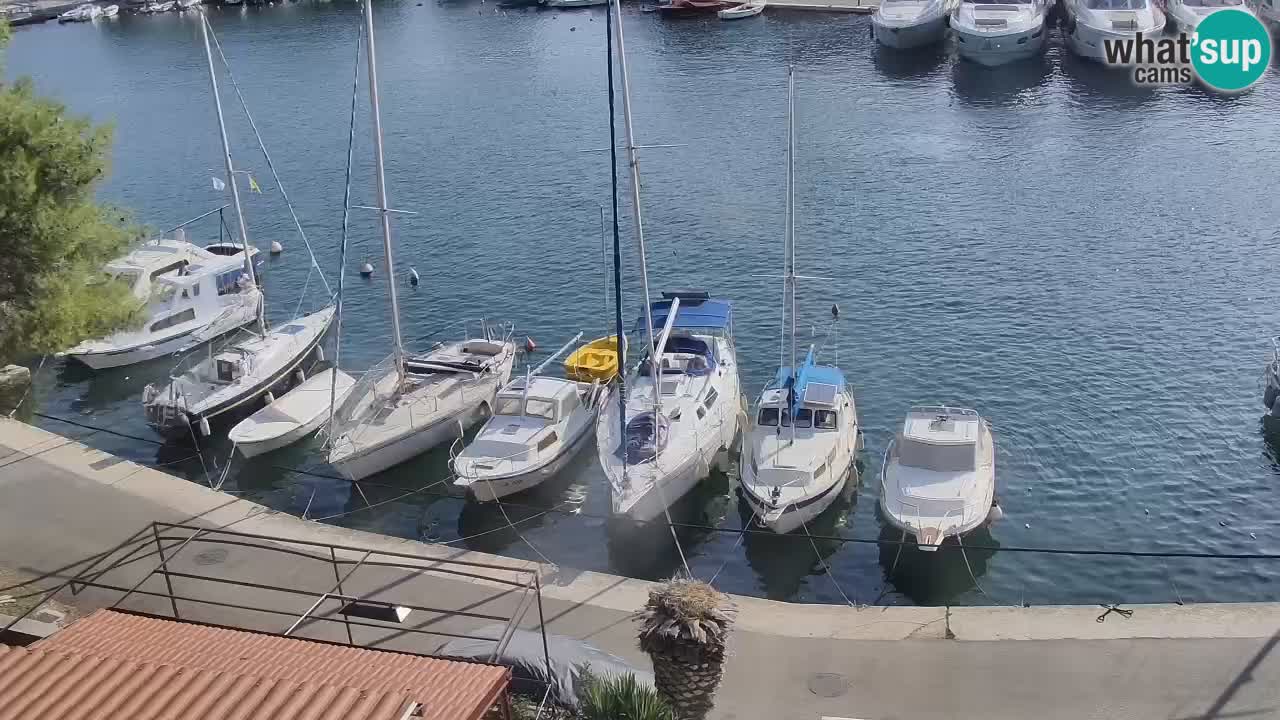 Livecam Hvar Vrboska marina | Île de Hvar | Dalmatia