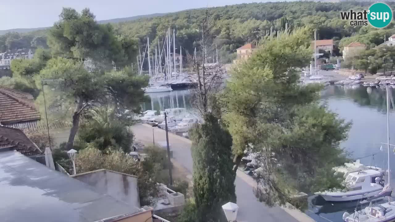Kamera Hvar Vrboska marina | | Dalmacija