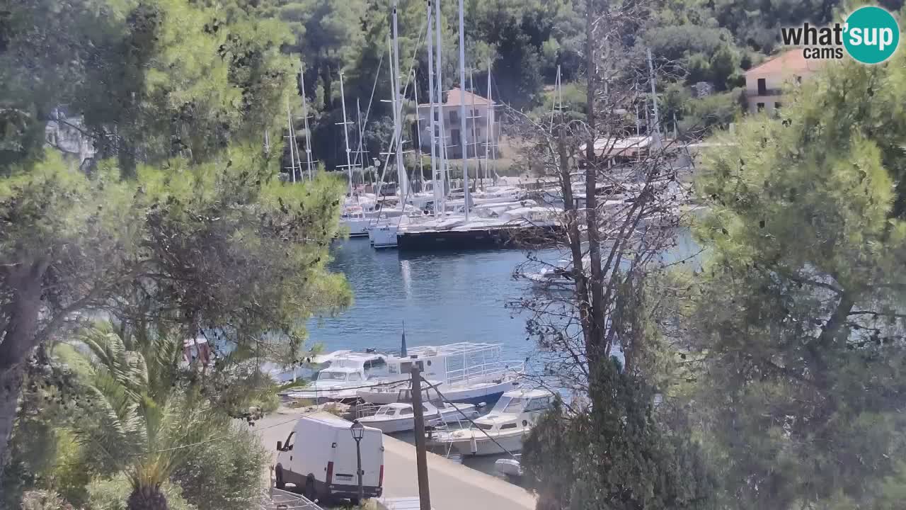Camera Hvar Vrboska marina | isla de Hvar | Dalmacia
