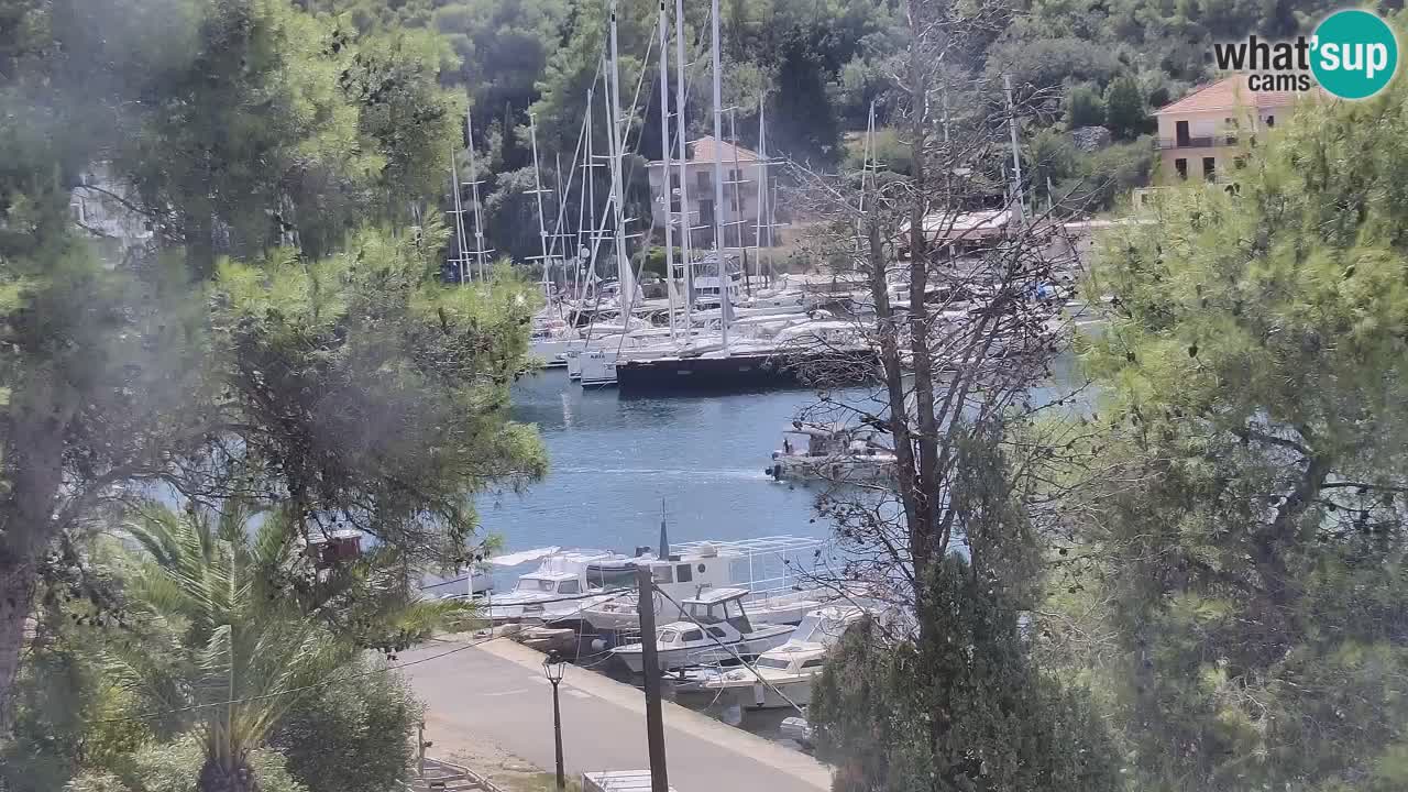 Web kamera Hvar Vrboska marina | otok Hvar | Dalmacija