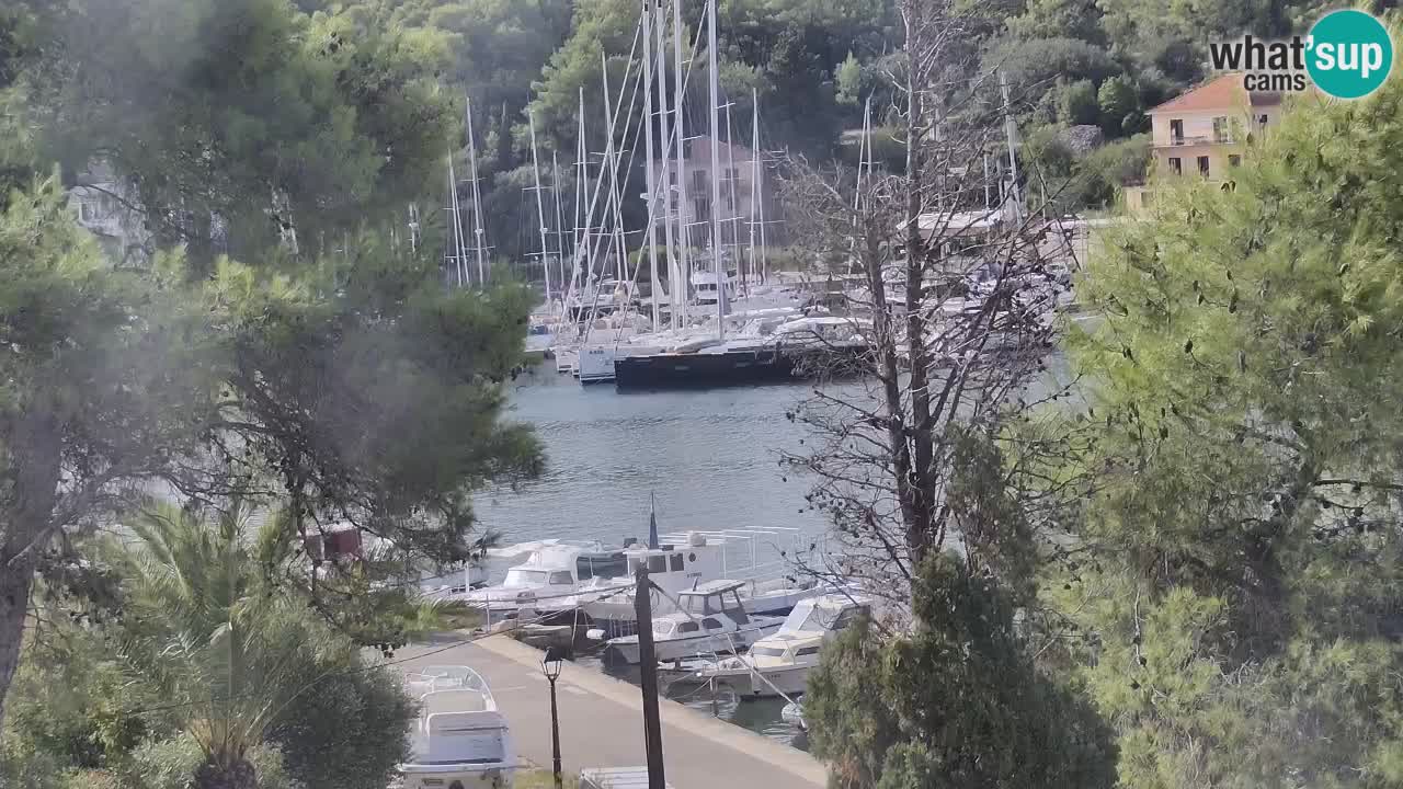 Camera Hvar Vrboska marina | isla de Hvar | Dalmacia