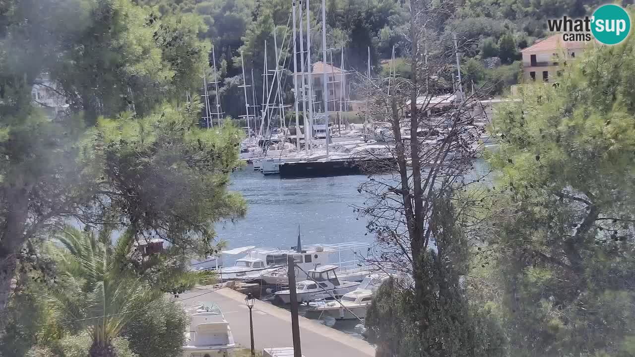 Livecam Hvar Vrboska marina | Île de Hvar | Dalmatia