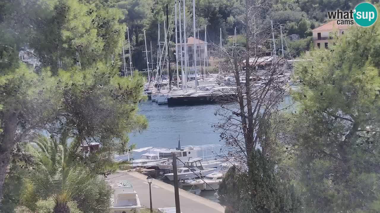 Camera Hvar Vrboska marina | isla de Hvar | Dalmacia