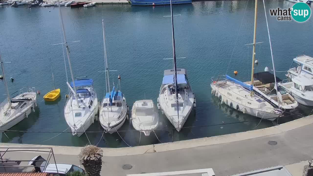 Camera Hvar Vrboska marina | isla de Hvar | Dalmacia
