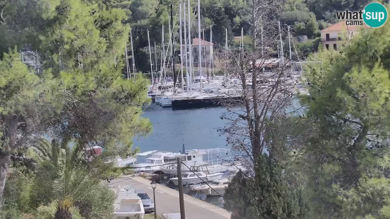Livecam Hvar Vrboska marina | Île de Hvar | Dalmatia