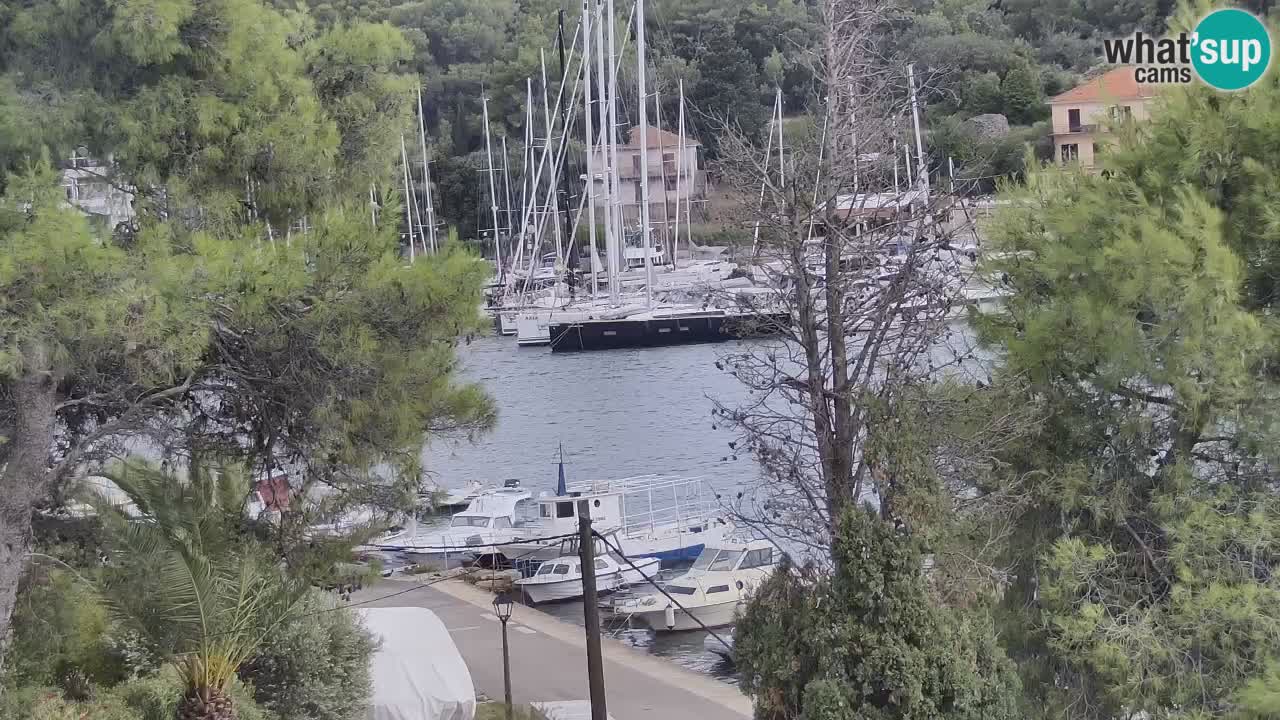 Livecam Vrboska marina | Hvar island | Dalmatia
