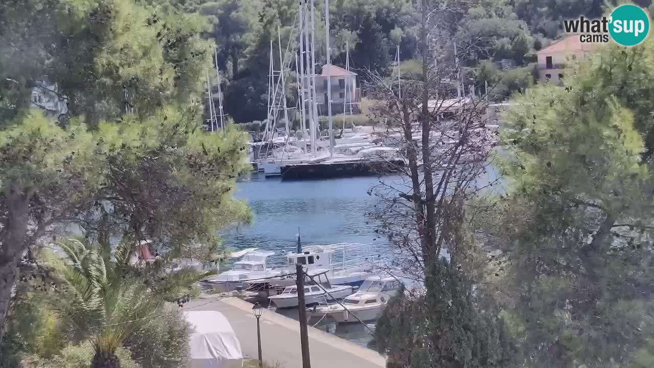 Web kamera Hvar Vrboska marina | otok Hvar | Dalmacija