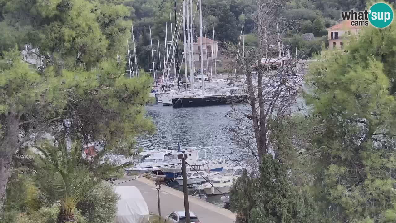 Livecam Vrboska marina | Hvar island | Dalmatia
