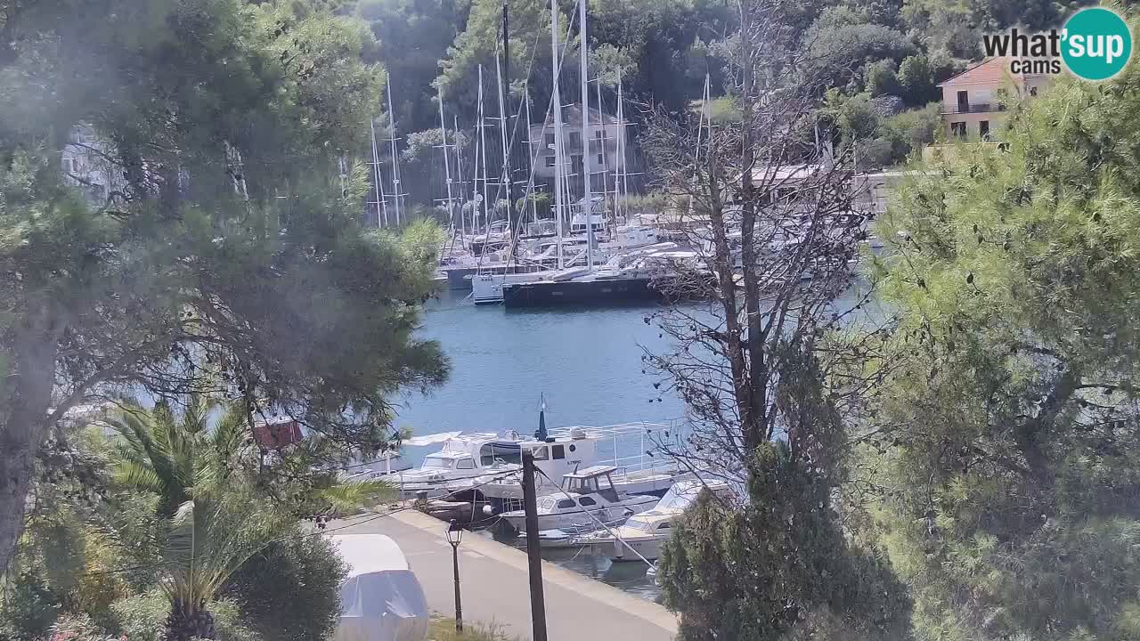 Web kamera Hvar Vrboska marina | otok Hvar | Dalmacija