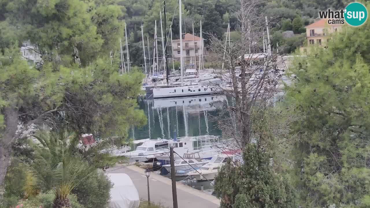 Kamera Hvar Vrboska marina | | Dalmacija