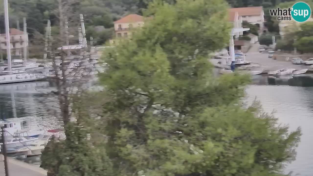 Kamera Hvar Vrboska marina | | Dalmacija