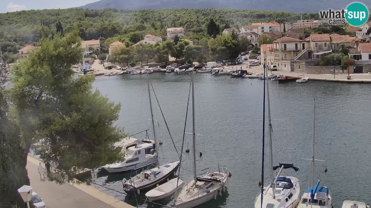 Livecam Hvar Vrboska marina | Île de Hvar | Dalmatia