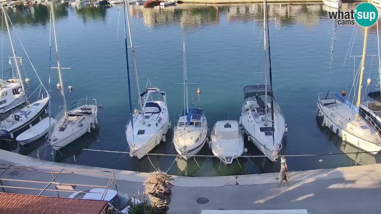 Webcam Vrboska marina | Hvar Insel | Dalmatien