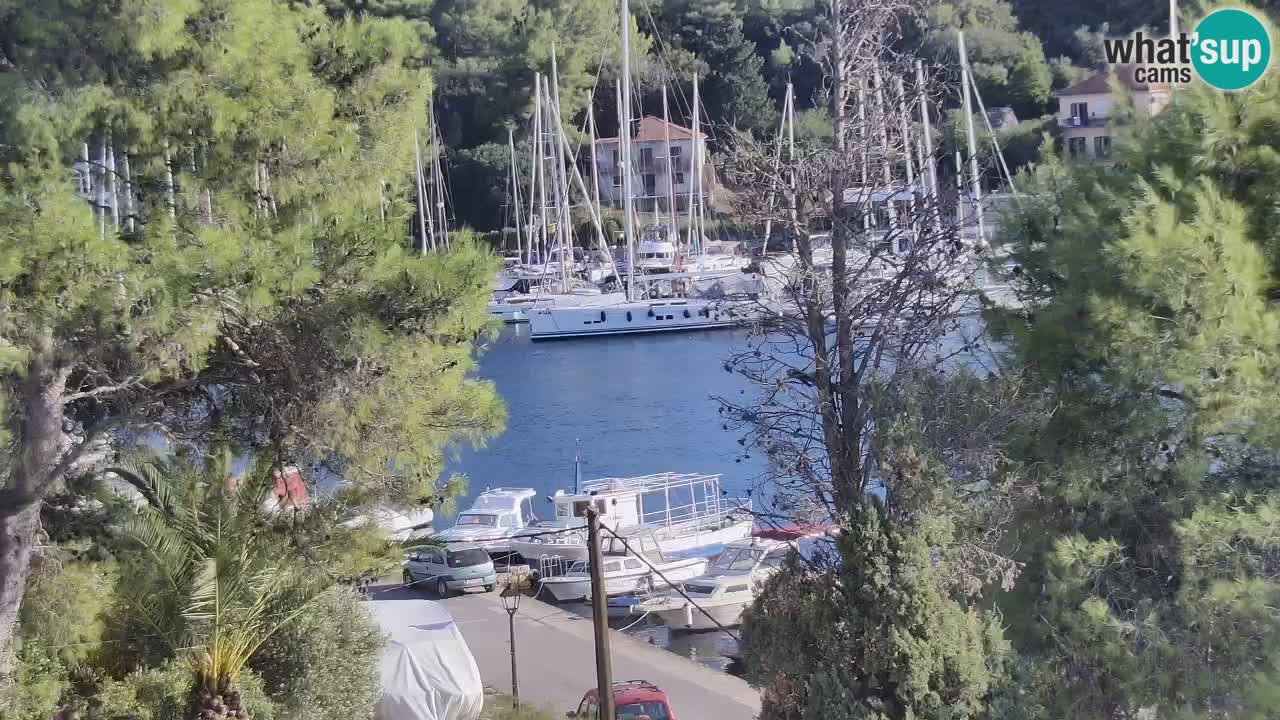 Livecam Hvar Vrboska marina | Île de Hvar | Dalmatia