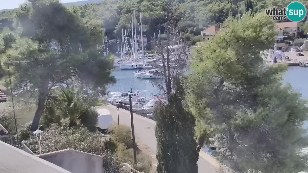 Livecam Hvar Vrboska marina | Île de Hvar | Dalmatia