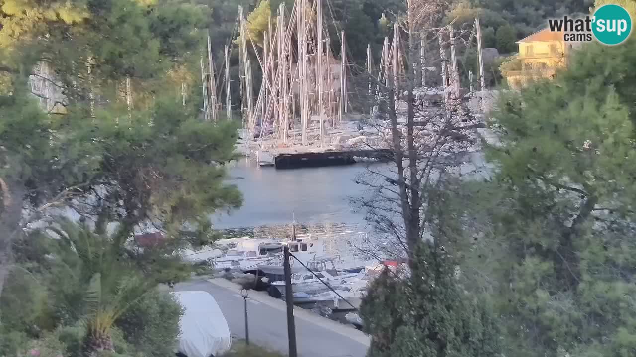 Kamera Hvar Vrboska marina | | Dalmacija