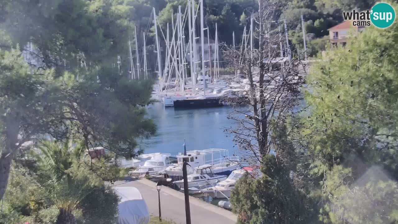 Web kamera Hvar Vrboska marina | otok Hvar | Dalmacija