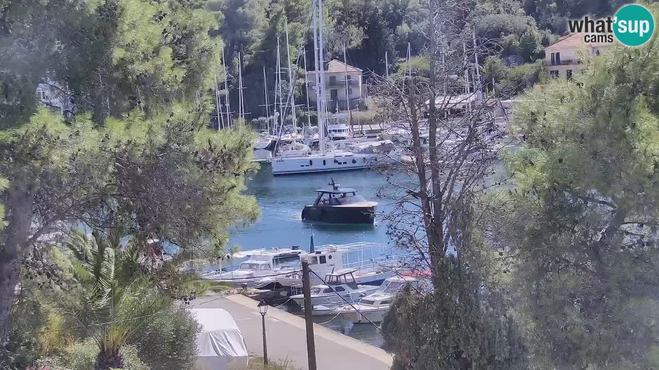 Web kamera Hvar Vrboska marina | otok Hvar | Dalmacija