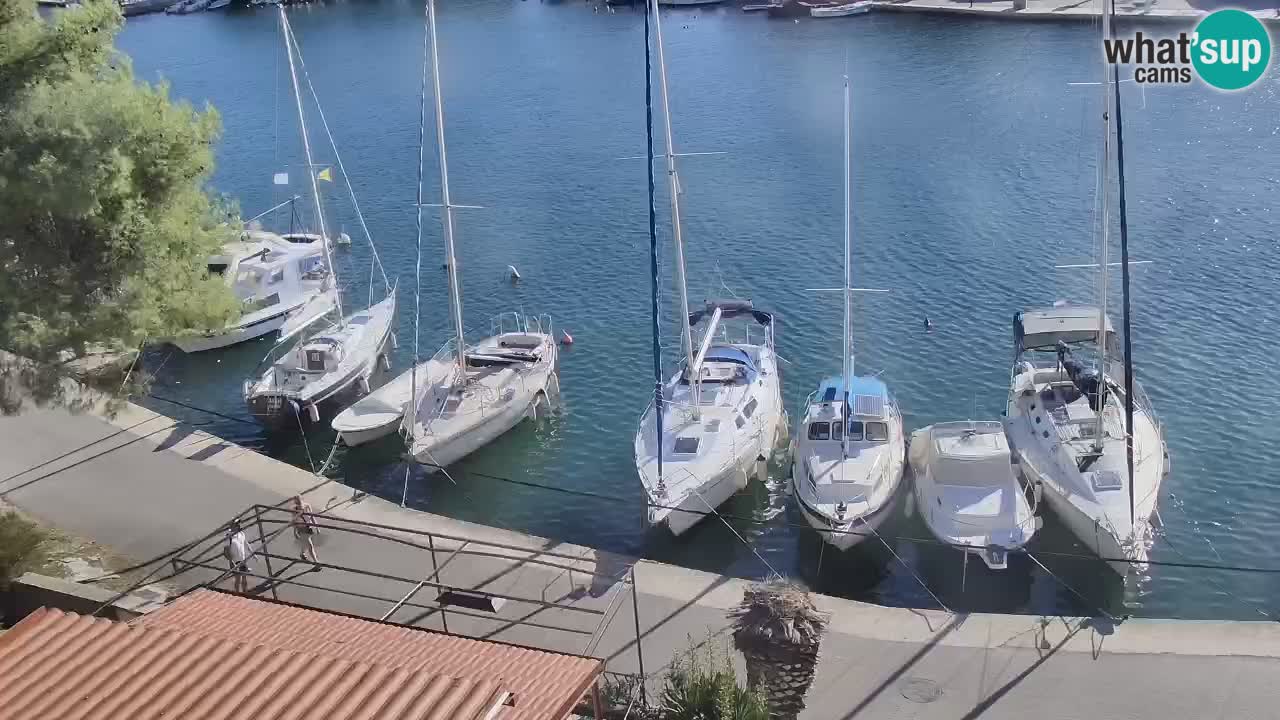 Livecam Hvar Vrboska marina | Île de Hvar | Dalmatia