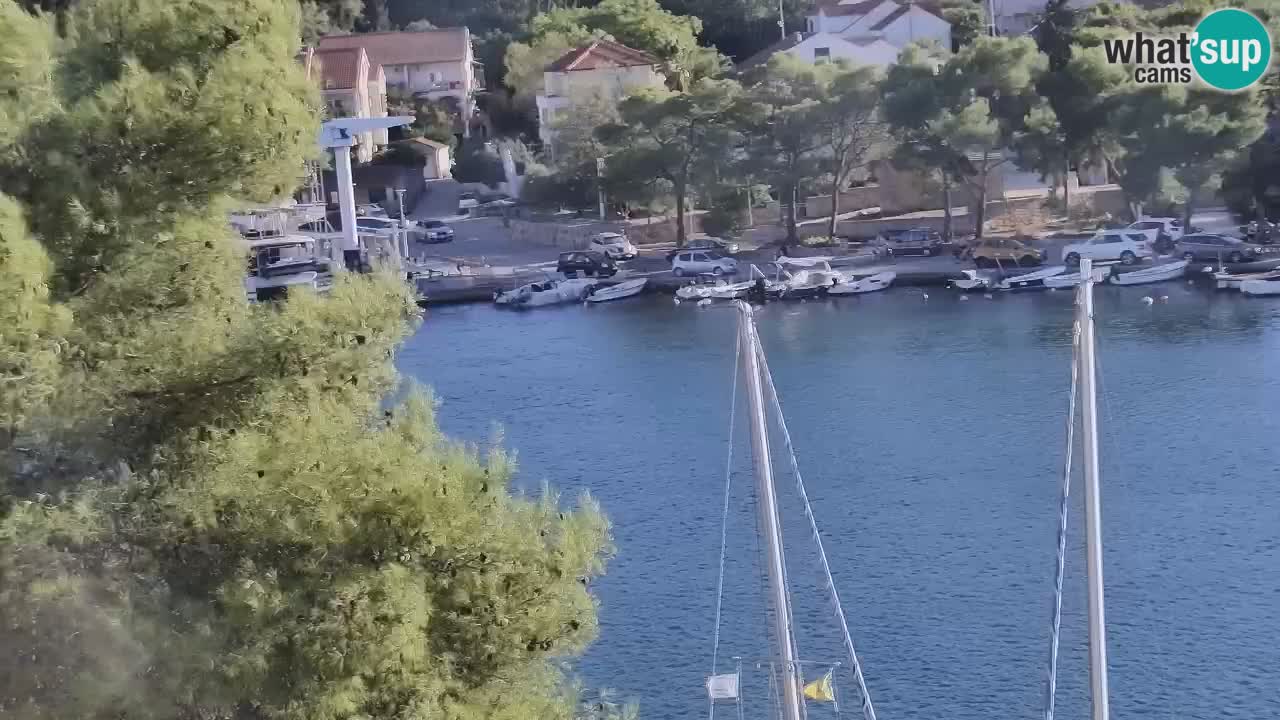 Livecam Hvar Vrboska marina | Île de Hvar | Dalmatia