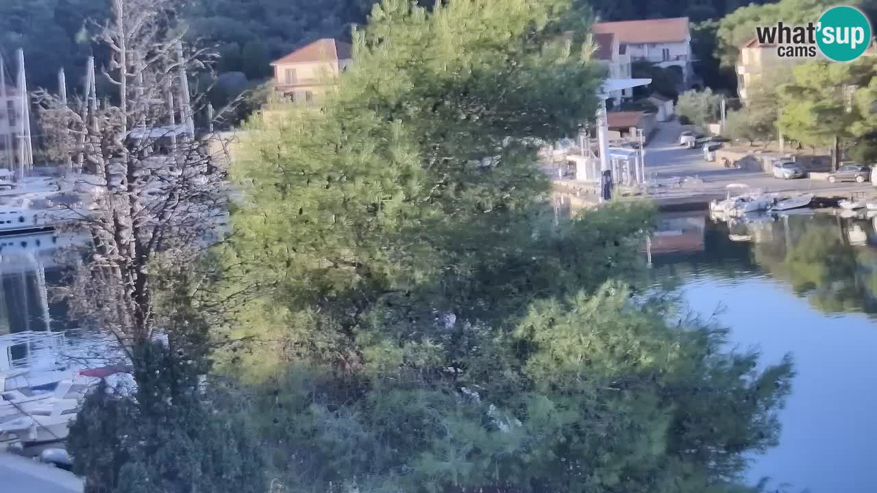 Web kamera Hvar Vrboska marina | otok Hvar | Dalmacija
