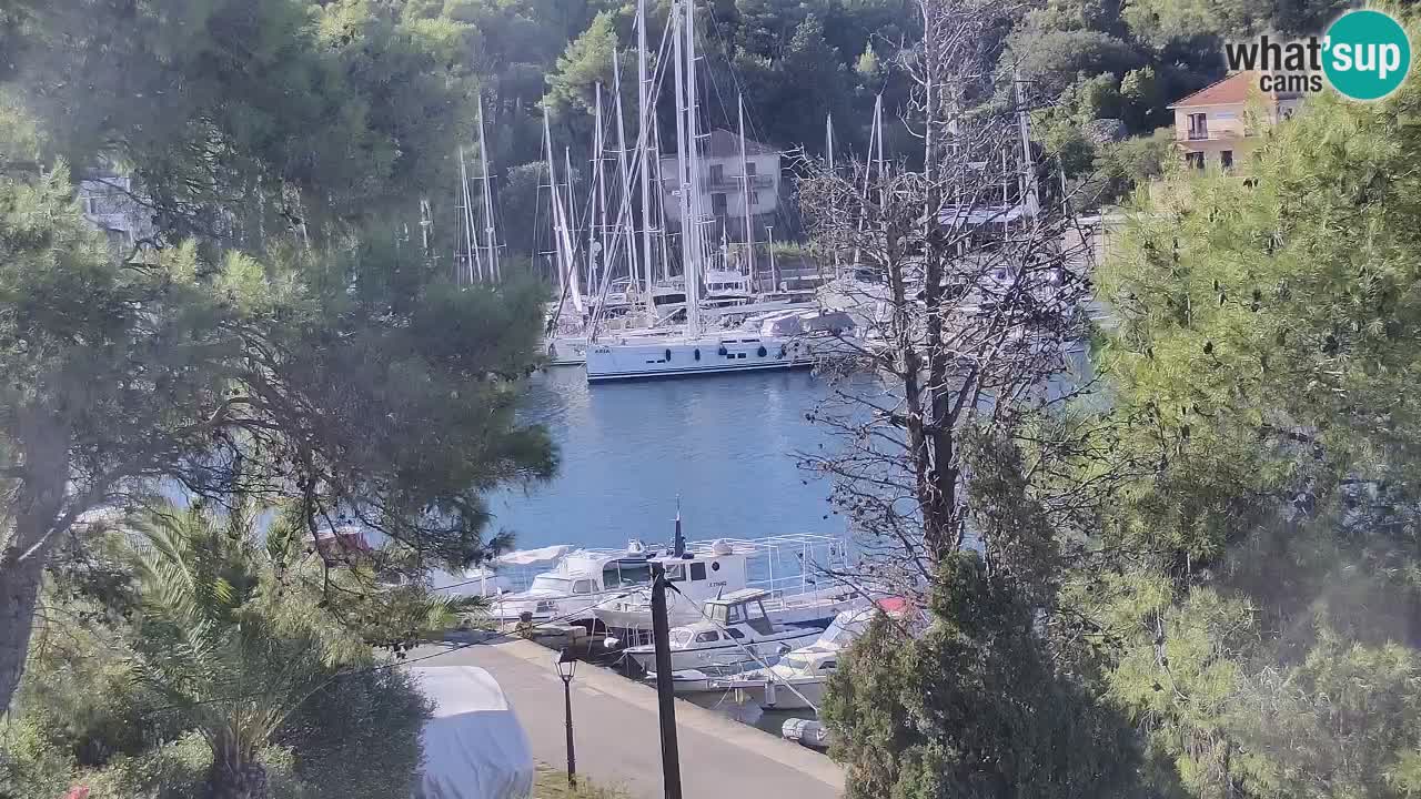 Livecam Vrboska marina | Hvar island | Dalmatia
