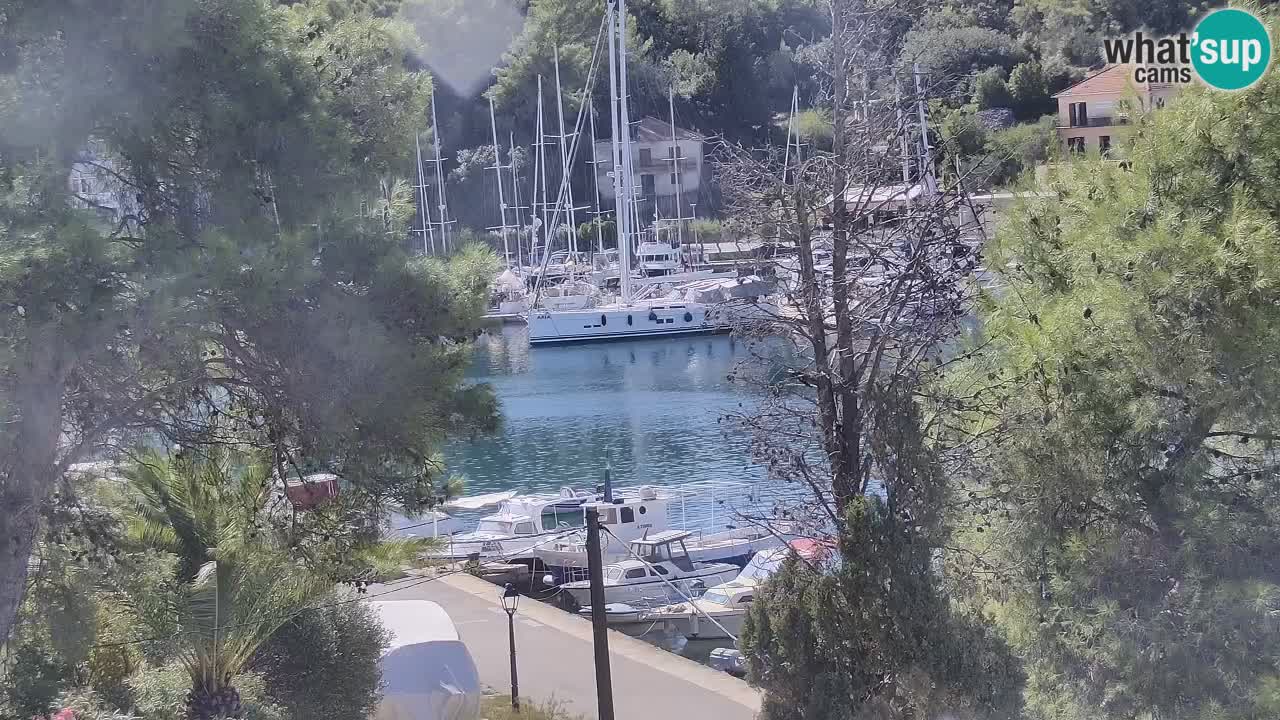 Livecam Hvar Vrboska marina | Île de Hvar | Dalmatia