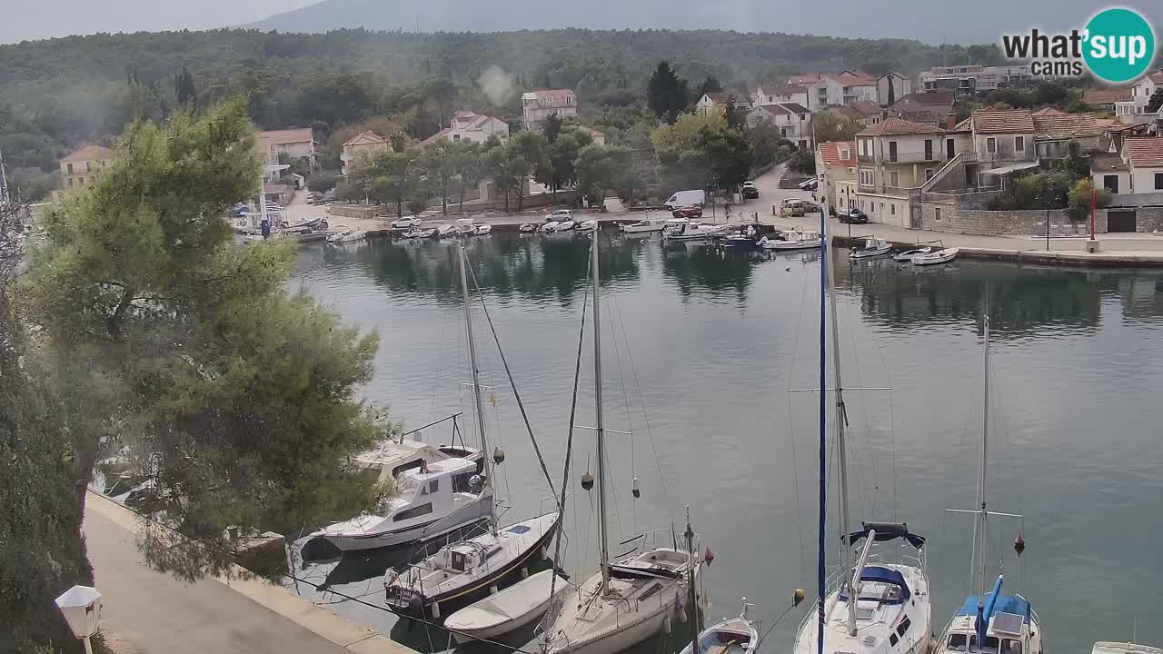 Camera Hvar Vrboska marina | isla de Hvar | Dalmacia