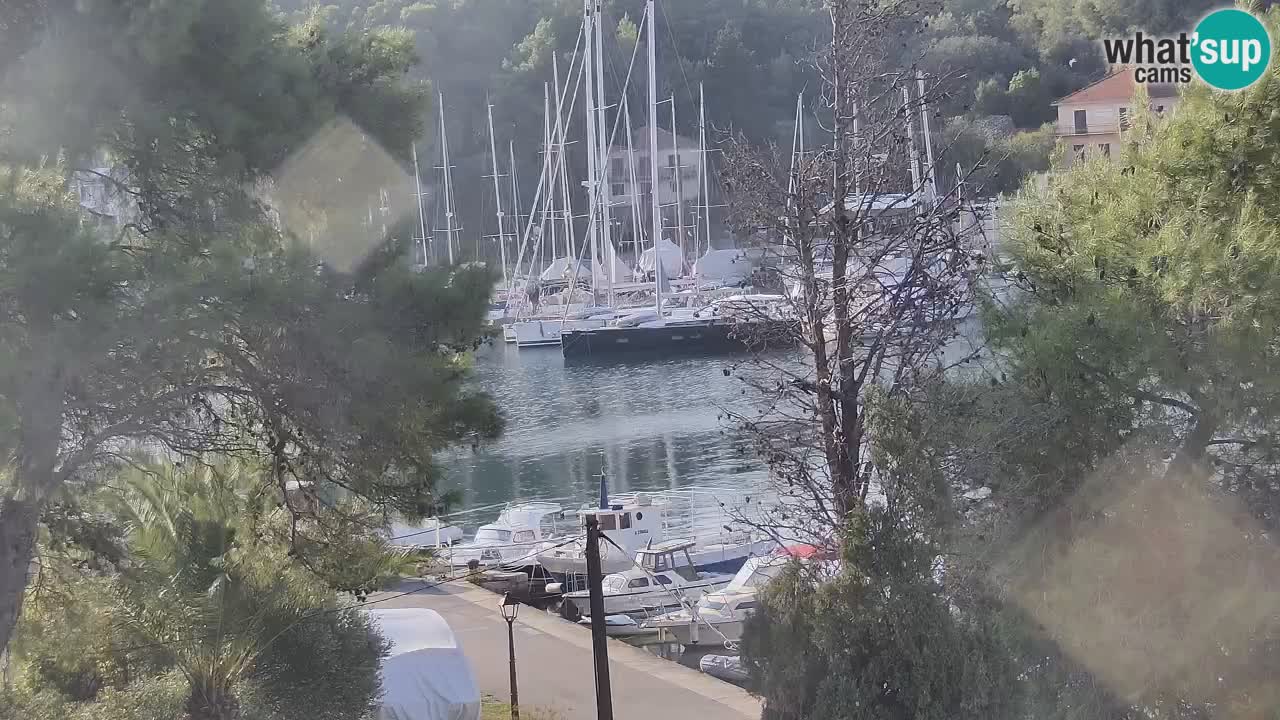Kamera Hvar Vrboska marina | | Dalmacija