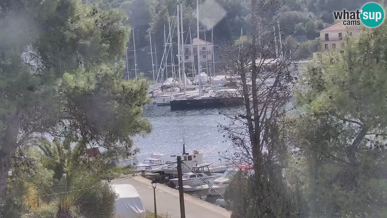 Livecam Vrboska marina | Hvar island | Dalmatia
