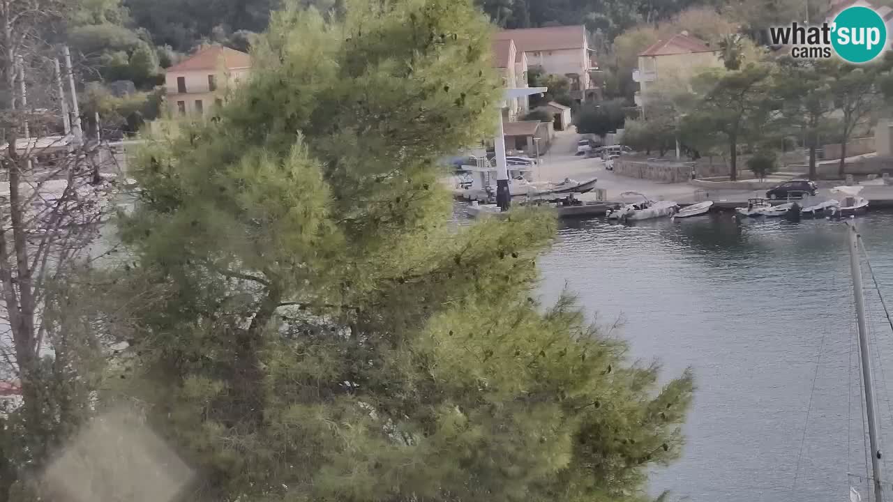 Livecam Vrboska marina | Hvar island | Dalmatia