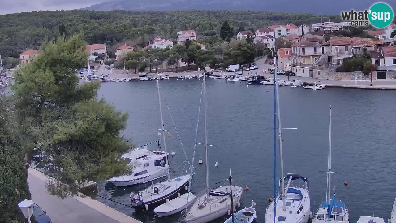 Webcam Hvar Vrboska marina | Dalmazia