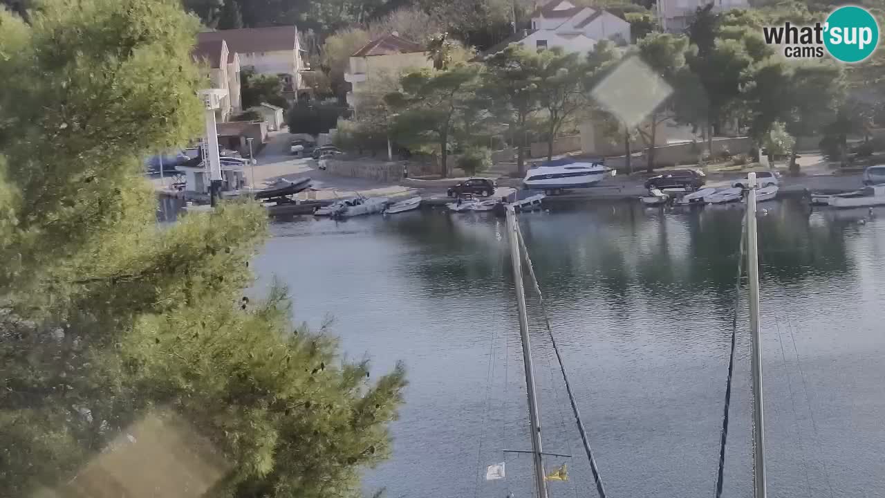 Livecam Hvar Vrboska marina | Île de Hvar | Dalmatia