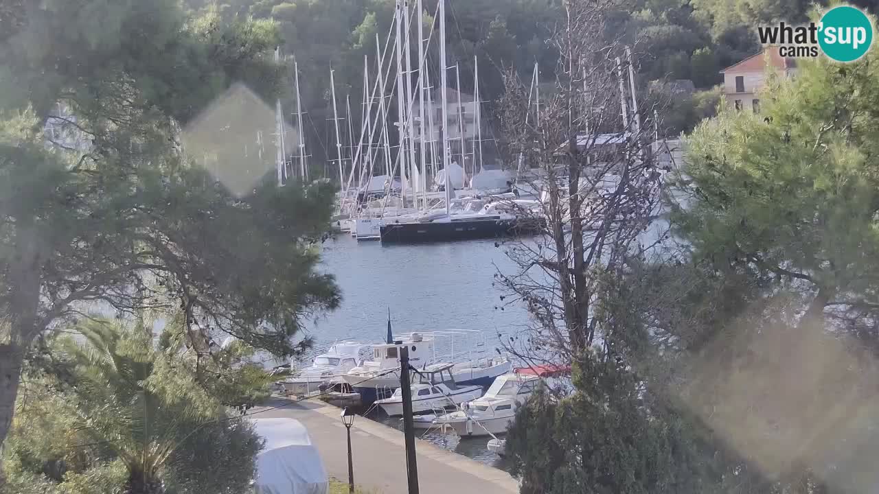 Camera Hvar Vrboska marina | isla de Hvar | Dalmacia