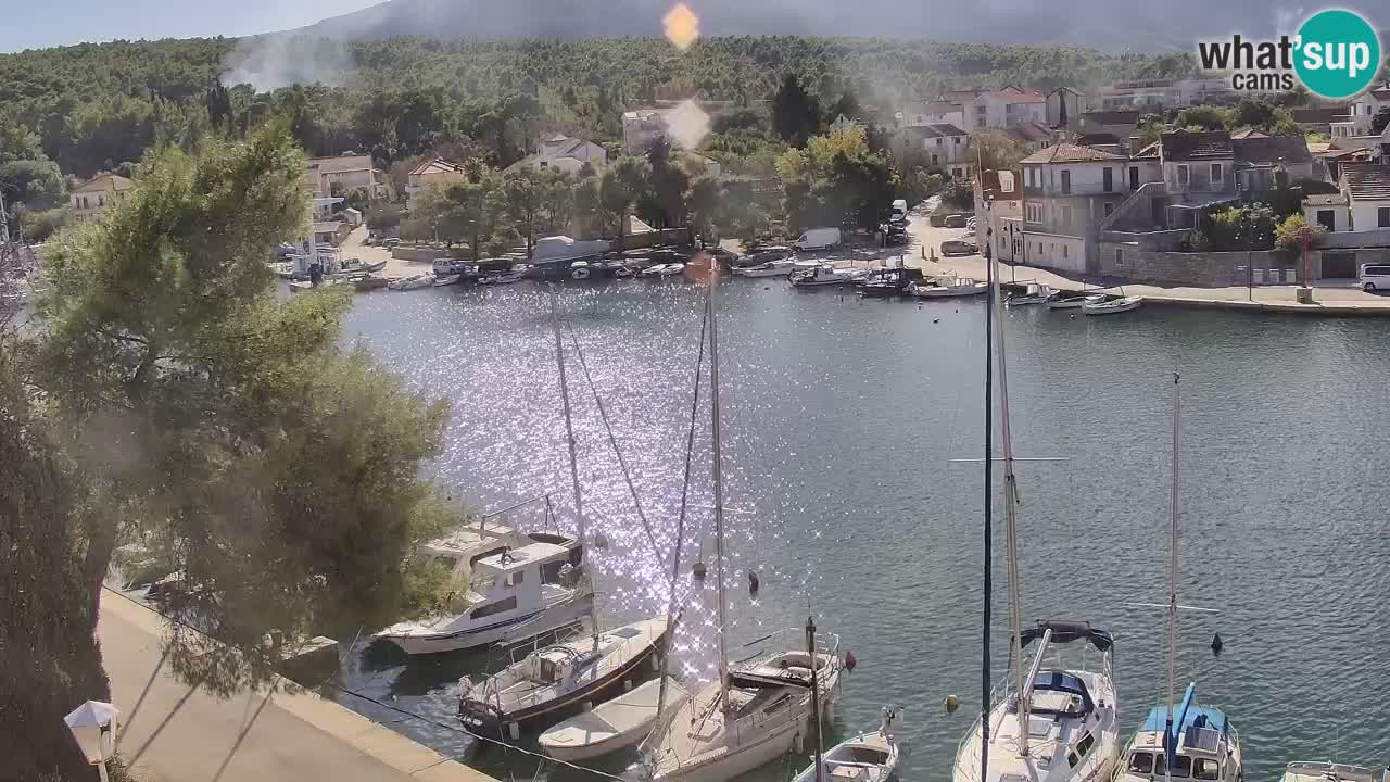 Camera Hvar Vrboska marina | isla de Hvar | Dalmacia