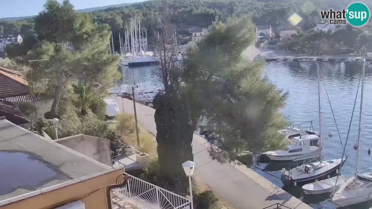 Camera Hvar Vrboska marina | isla de Hvar | Dalmacia