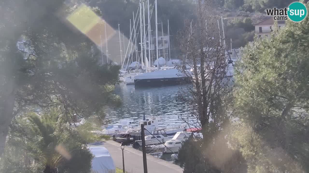 Livecam Hvar Vrboska marina | Île de Hvar | Dalmatia
